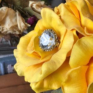 Ann Taylor - Statement Ring